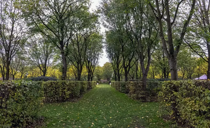 Hedge Maintenance Newbury